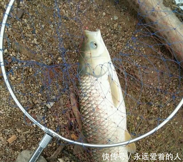 『想想』钓鱼几年从没钓到过大的认真想想,这些细节你是否从没注意过!