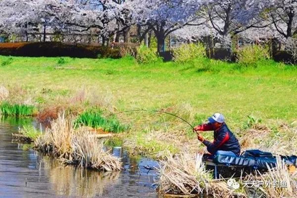 『影响』钓鱼技巧细节篇:这些实用小技巧,非常影响收获,多数钓友会忽略