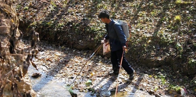  「捕捉」一年可消灭万只害虫，却被当成美味大量捕捉，如今靠养