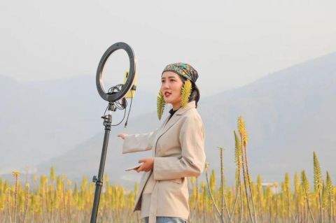  【主播】元江难得一见的芦荟花海，连网络主播也爱