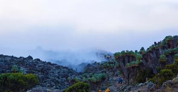 赤道上的雪山正在消逝，如此美景还能等你多久？