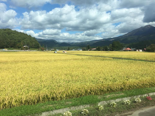 成都的又一“新宠”，众多影视剧的取景地，迄今已有1700多年的古