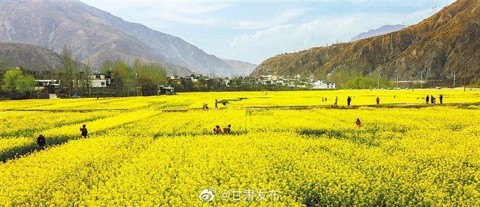  有序■甘肃省春耕生产有序推进