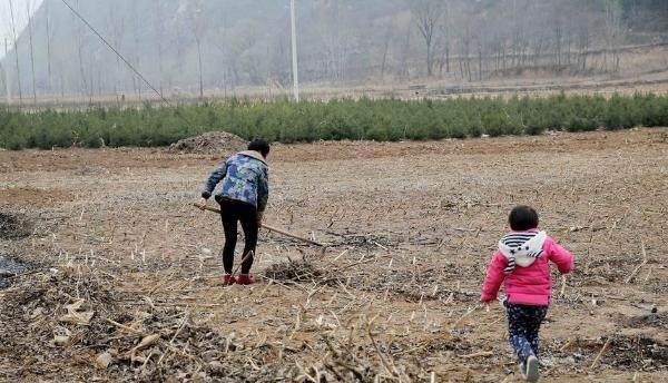 农村怪象，20多岁却一直没地种，去世20年还有地！专家：很合理！