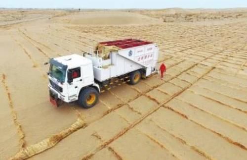  「圈养」沙漠救星来了！中国沙漠圈养150只“猛兽”，一天狂吐40