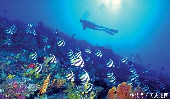 世界上唯一没有癌症的国家,以胖为美,大海还是彩色的!