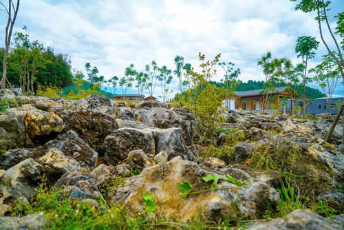  「gdp」山东最有“可能合并”的三座城，GDP总量超越烟台，未来