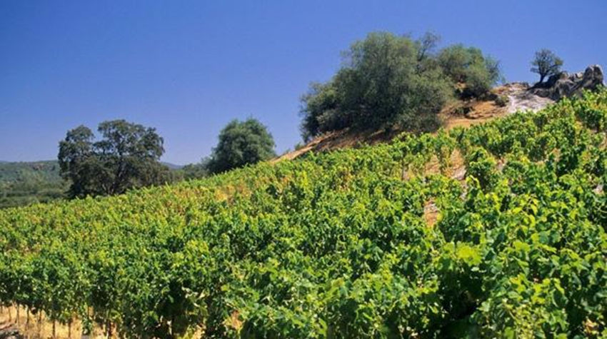  「补贴」9月这几笔补贴会陆续到账，你一卡通有消息了吗？农民要