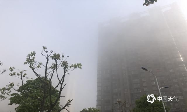  高速@江西抚州吉安赣州多地大雾来袭 高速封闭