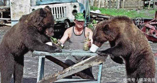 “战斗民族”有多野性？零下71度熊都扛不住，俄罗斯人度过了！