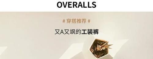  『明媚』此时春日正明媚，解锁职场穿搭的魅力法则
