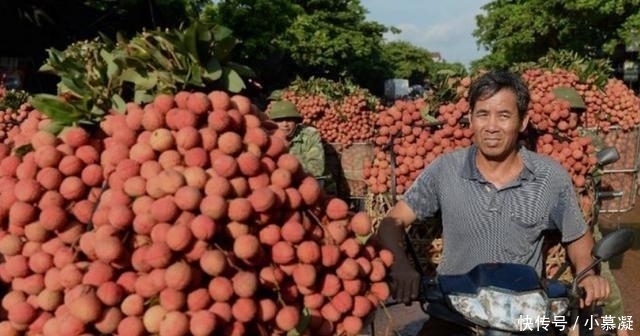 越南水果滞销, 对华出口量猛增, 国内滞销却扔掉, 中国果农怎么办