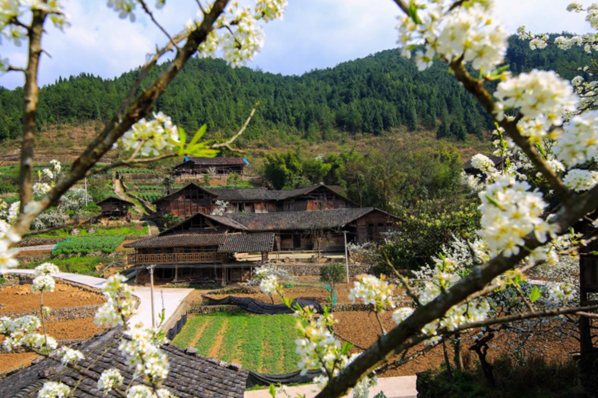 重庆市第二批历史文化名村预备名录公示(丰都)