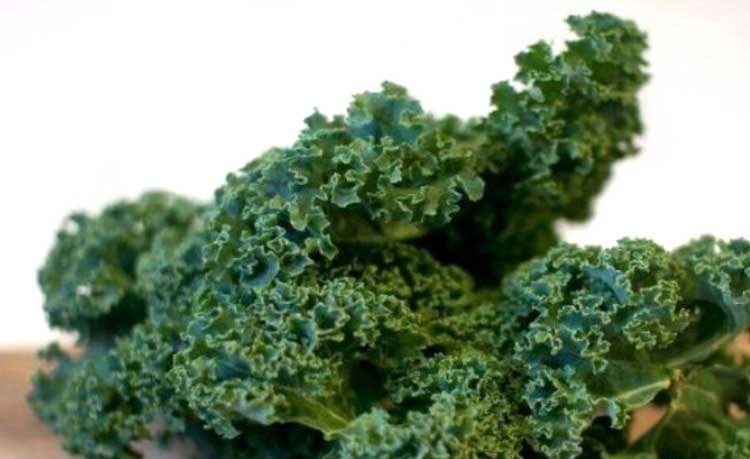 女性不想满脸皱纹，推荐多食此菜，补充胶原蛋白，保持美丽容颜！