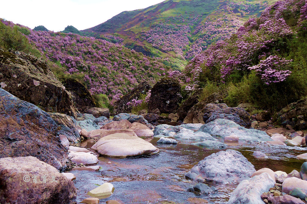 云南这里被评为全国最美地标之一，集雪域高原和大草原的美于一身
