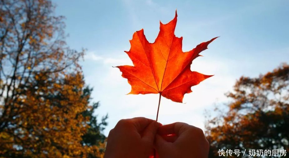 刚从加拿大回来,揭秘真实的加拿大!驴友:与想象差别很大