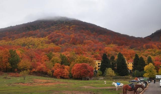 免签的旅游冷门小国，当地游玩非常便宜，非常值得去看看