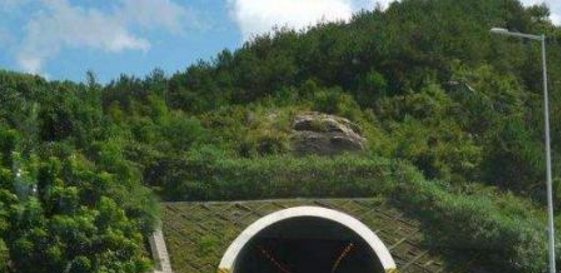  新手：为什么进隧道老司机都不靠右侧行驶？原因大有讲究，新手