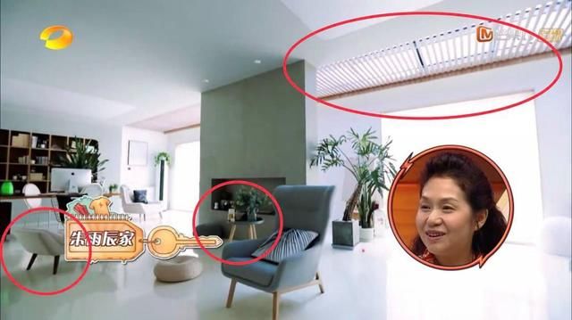 又一明星奉子成婚?贾乃亮李小璐又开撕了?Z男星被曝出轨实锤?