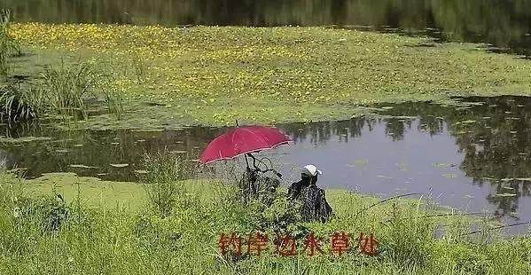  「技巧」野钓选钓位的打窝技巧