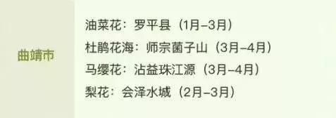 春季花开哪家强？云南16州市最美赏花点看过来！
