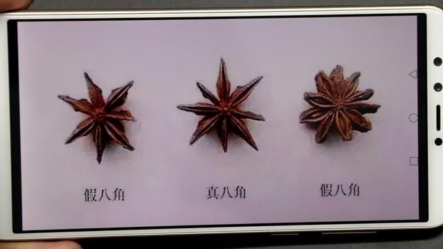  【认准】八角也有真假之分，只要认准“三点”，不会被坑，看完长知识