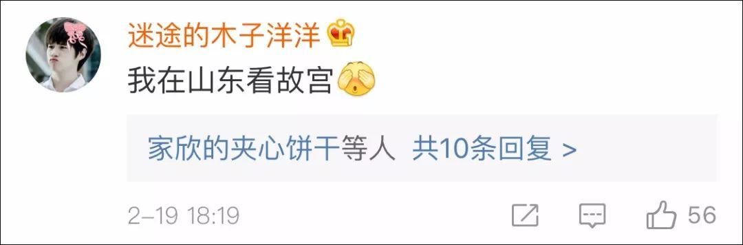 灯影故宫,美得不像话!