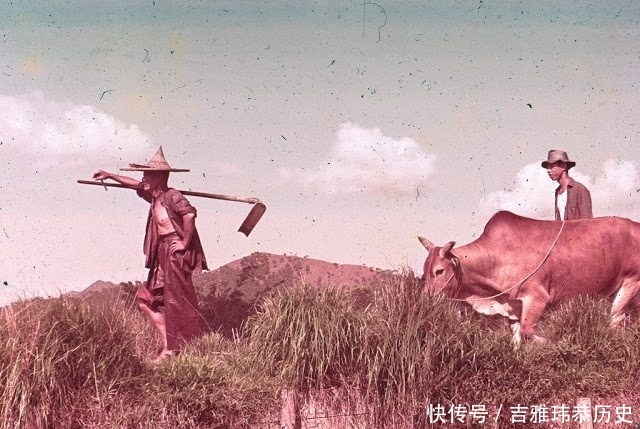  【九龙】60年代的香港九龙是什么样子堪比农村