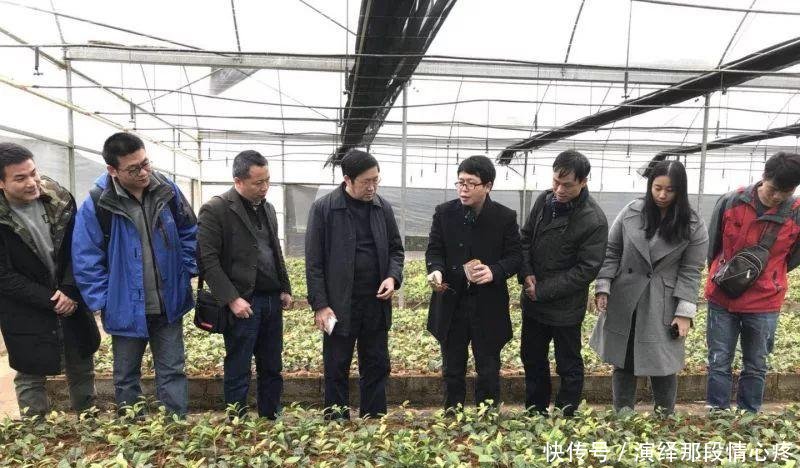 李时珍一辈子没找到的花，广西贫困户种它发大财！