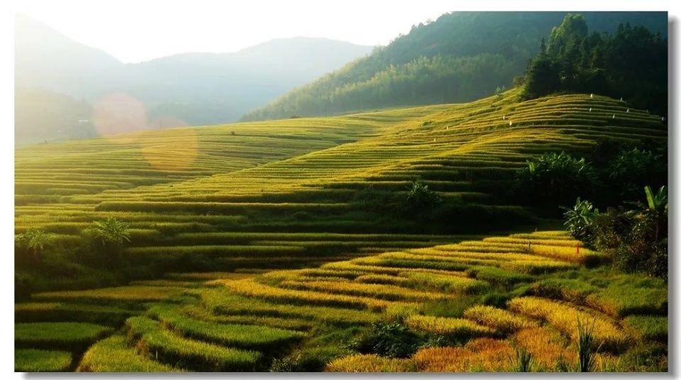 9月,贵州最美的风景竟然在这里,一生要去看一次~