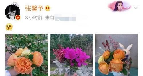  【作品】张馨予秀个人花艺作品，意外曝光花园内景，湖中花园让人羡慕