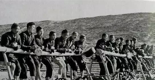 『图为』1953年中国百姓真实老照片