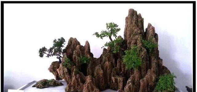 「山水盆景」世界上最美的34个盆景,第1个就美的受不了!