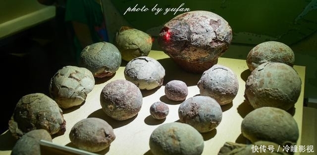  #恐龙蛋化石#世界上恐龙蛋最多的地方竟然就在广东，密密麻麻，