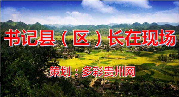 【书记县长在现场】大龙:杨启明现场指导铜仁市项目观摩会筹备工