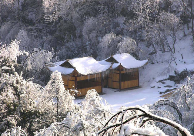 雪后的张家界,银装素裹,如临仙境!