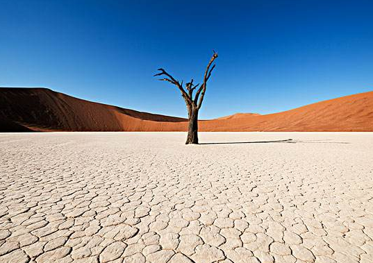 世界上最干燥的沙漠旁边就是大西洋,但全年降水却不到25毫米!