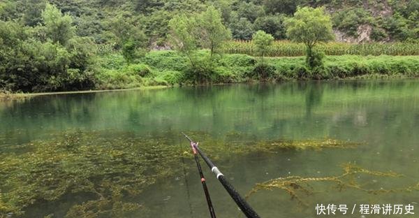  水质：怪不得没鱼咬钩，原来钓点要这样选！5个关键词，这些位置鱼成群！