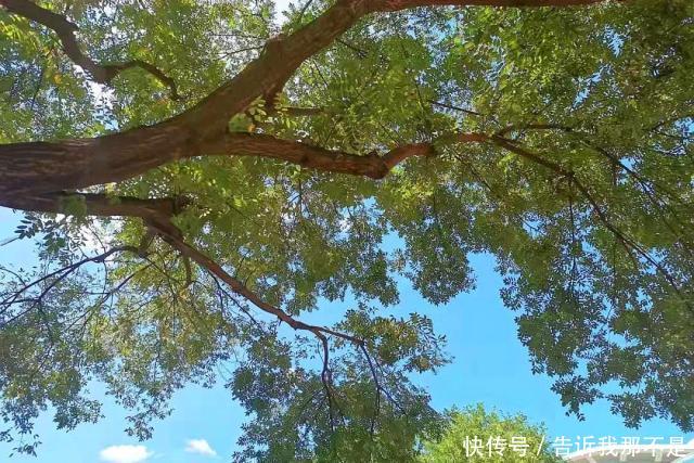 陌上弹指芳菲暮，朱颜辞镜花辞树往来皆过客，何曾有归人