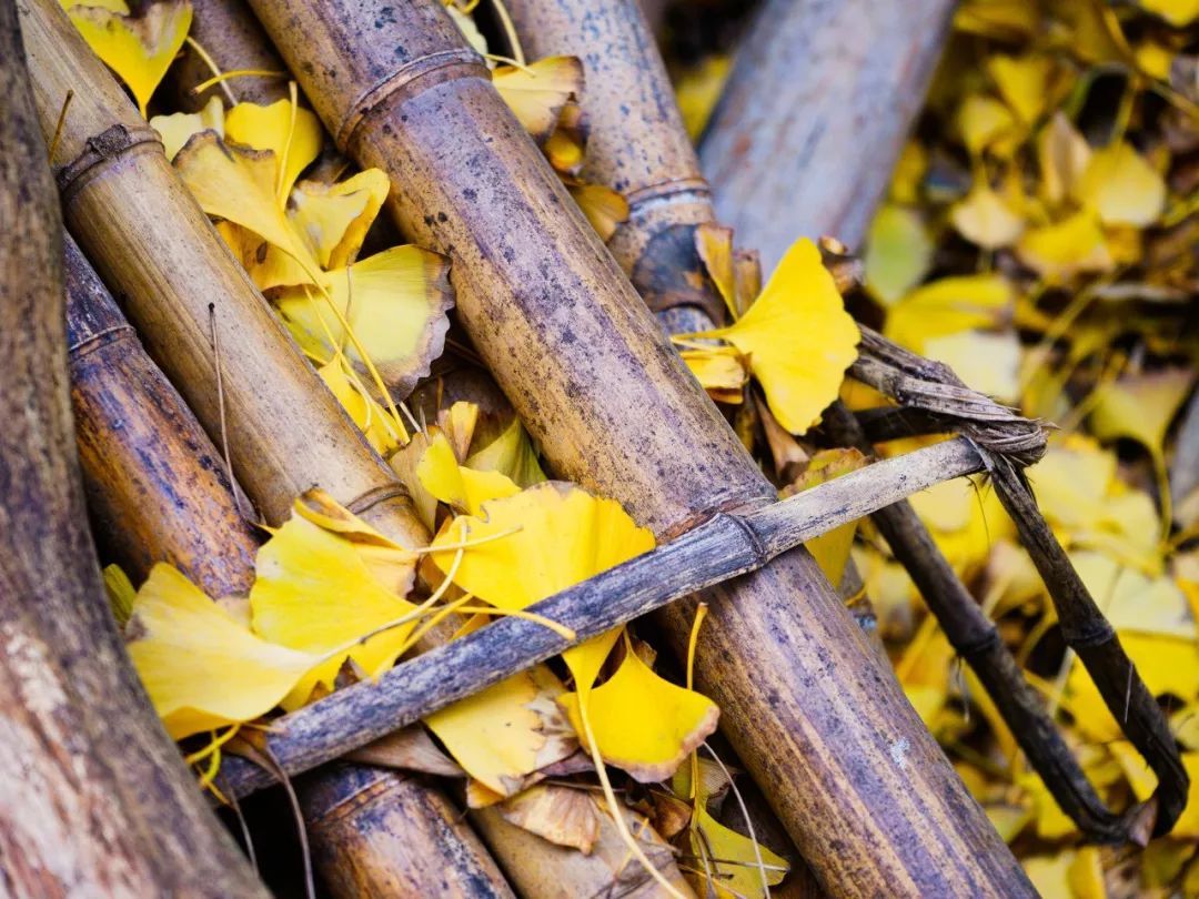 10个藏在深山人不知的古村落，却是世外桃源