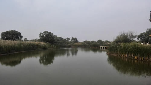 为什么山东最有钱的城市不是济南和青岛？而是这座鲜为人知的小城