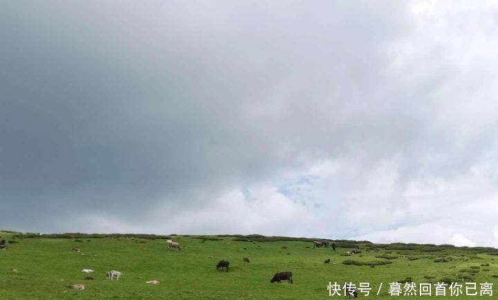 中国美到心坎的公路, 比川藏线更绝美, 沿途500公里处处是旅游美