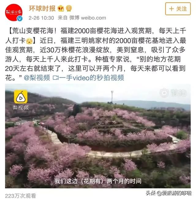 中国这片樱花海火了！貌美完全不输日本，还免费~