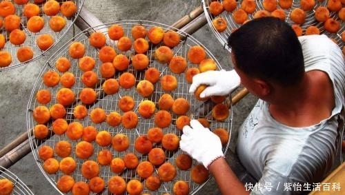  「遭遇」“柿子”大量上市遭遇滞销，果农发愁，专家提出3个建议