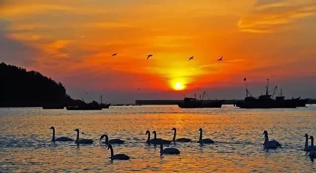 山东这些古村落，惊艳了全中国