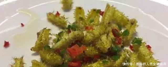 农村这种让你痛不欲生的虫子已经出动, 村里遇到它一定要远离!