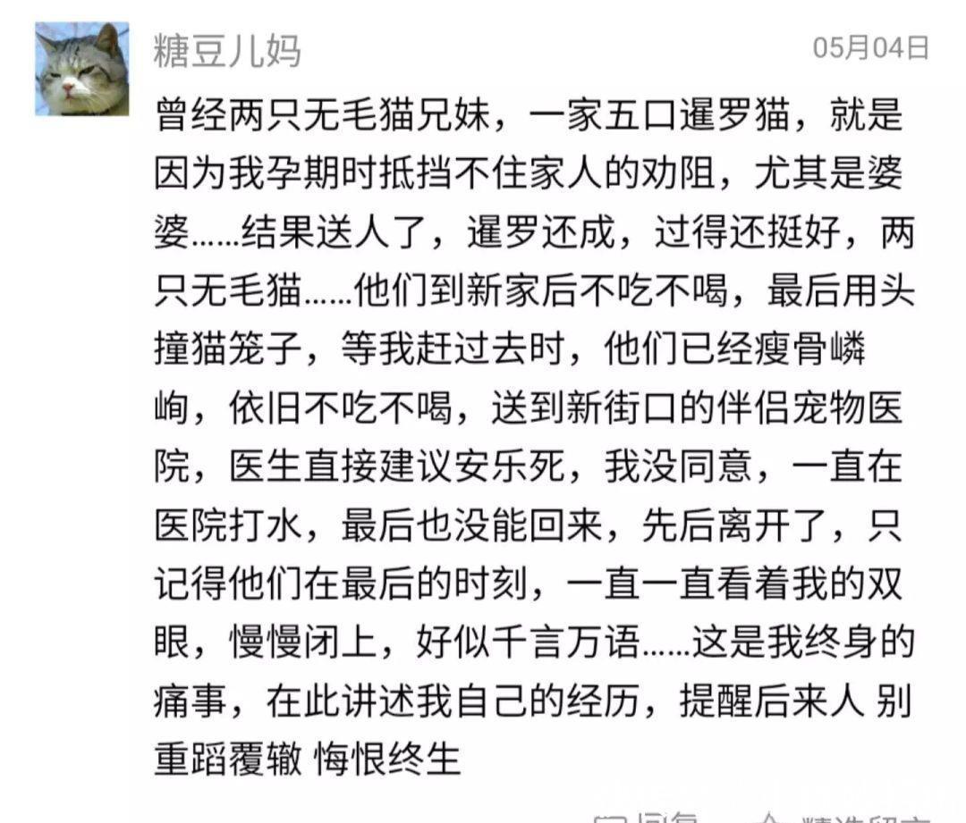 还在相信怀孕不能养宠物吗？ 连央视新闻都出来辟谣了!