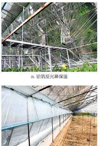  滑盖■知道滑盖手机，那你听说过滑盖日光温室么？