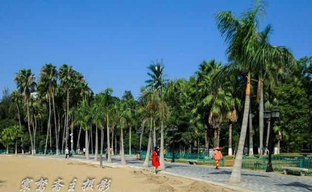 国庆长假后的第一天，鼓浪屿没人了我们在菽庄“包场”玩了半小时