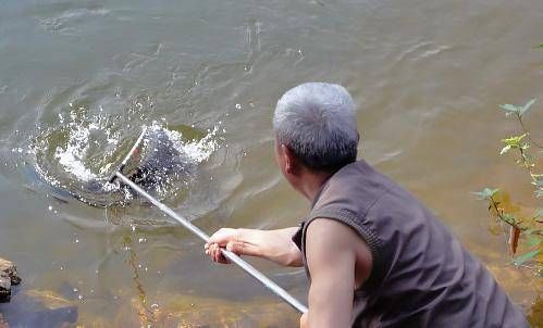  「水域」为什么说野钓想要上大鱼，其实找对底就可以
